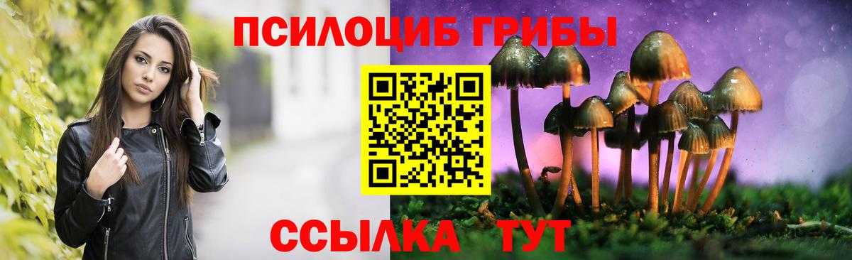 Галлюциногенные грибы прущие грибы  Вход с VPN  Белореченск 